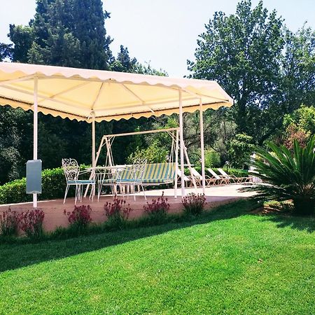 Summer Wine Friendly Resort Ipsos Bagian luar foto